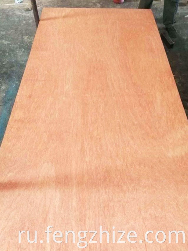 BINGTANGOR PLYWOOD